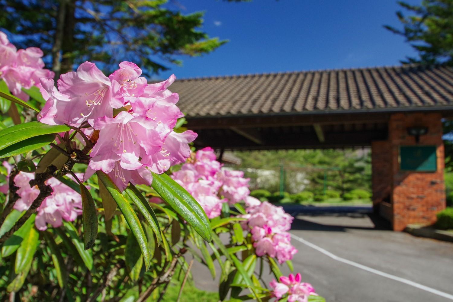 Tsumagoi Prince Hotel Exterior foto